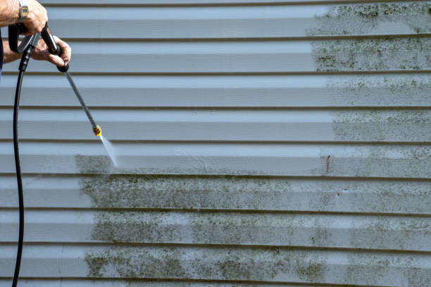 Professional Siding Services in Veazie, ME